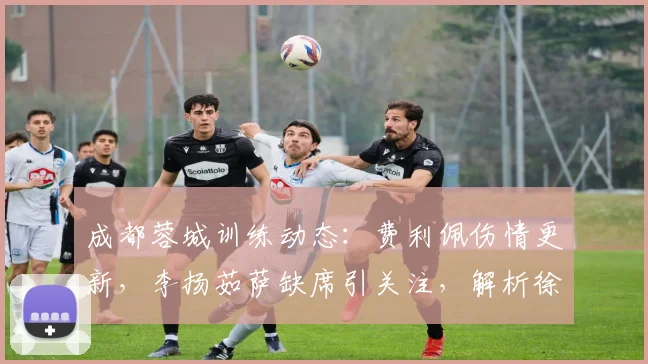 成都蓉城训练动态:费利佩伤情更新,李扬茹萨缺席引关注,解析徐正源外援轮换与战术思路