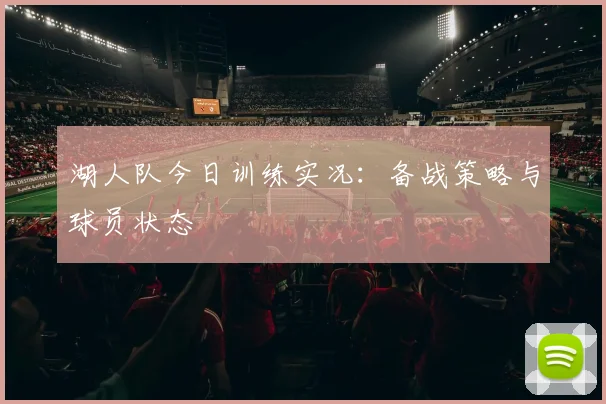 湖人队今日训练实况：备战策略与球员状态