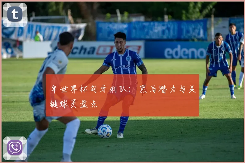 年世界杯匈牙利队：黑马潜力与关键球员盘点