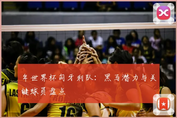 年世界杯匈牙利队:黑马潜力与关键球员盘点